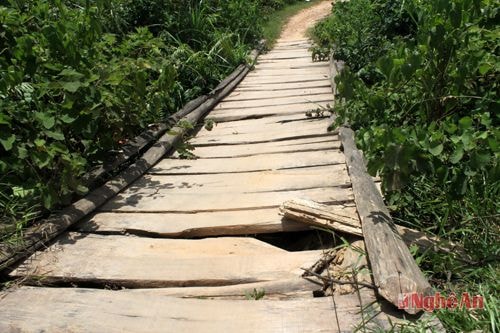 Cống Cỗ Hoằng bị mưa lũ cuốn trôi, nay được làm tạm bằng cầu gỗ  nhưng đã xuống cấp.