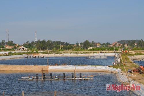 Vùng nuôi tôm công nghiệp Quỳnh Bảng (Quỳnh Lưu)