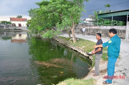 Gia trại của hộ ông Nguyễn Huy Bình, xóm 7, xã Hưng Tân (Hưng Nguyên).