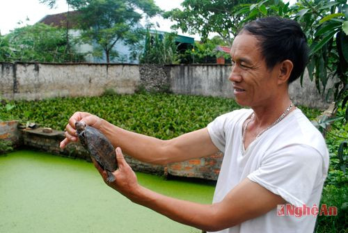 Ông Thái Hữu Hiền bên trang trại ba ba.