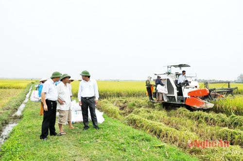 Lãnh đạo huyện Quỳnh Lưu trao đổi với bà con nông dân về hiệu quả sử dụng máy gặt đập liên hoàn. Ảnh: Hữu Nghĩa