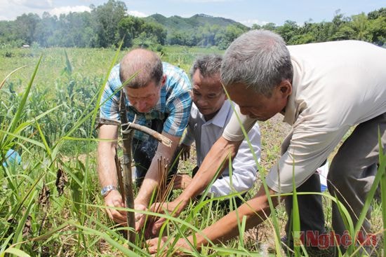 Các ông Thomas, Bùi Bác Văn, Nguyễn Văn Thu cùng thắp hương tại vị trí vừa chôn phần tóc của ông Walter.