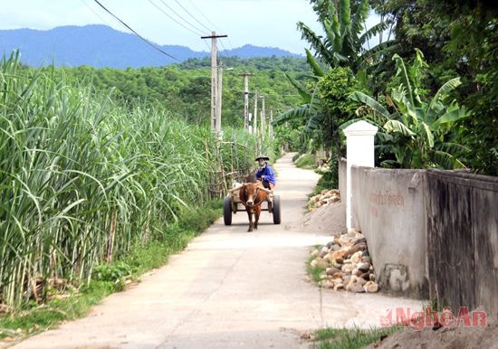 Đường bê tông của bản  đã hoàn thành gần 100%.