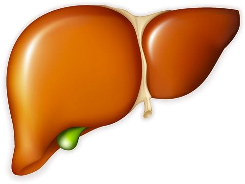 Tiếp xúc với liều lượng thấp của chất gây rối loạn nội tiết tố có trong đồ nhựa cũng có thể làm tăng nguy cơ phát triển gan nhiễm mỡ.