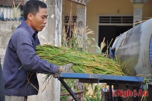  Anh Nguyễn Văn Giang cho biết; Cứ đến mùa gặt là hai anh em lại đẩy máy tuốt đi cùng làng, từ sấng sớm cho đến tối mịt, có khi 12h đêm mới về đến nhà. Chủ yếu là phục vụ theo yêu cầu của người dân, Cứ lúc nào có người gọi là đi ngay. Tuy vất vả một tý nhưng được cái cũng có đồng ra đồng vào. Tính ra mỗi mùa anh cũng đủ nạp tiền học cho con, rồi trang trải một số chi phí khác. Nhà nông có thêm nghề phụ như thế này vừa vui, lại có thu nhập.