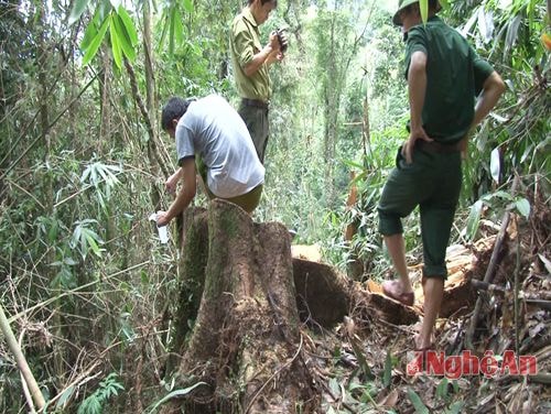 Lực lượng chức năng tiến hành kiểm tra hiện trường