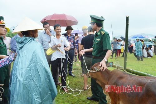  Đại tá Trần Minh Công - Phó chính ủy trao bò cho các hộ nghèo
