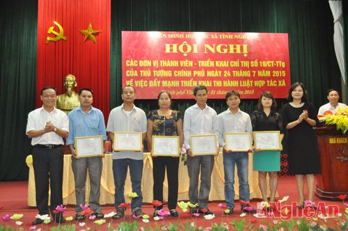 Lãnh đạo Liên minh HTX tỉnh trao quyết định công nhận thành viên Liên minh HTX cho 7 đơn vị mới