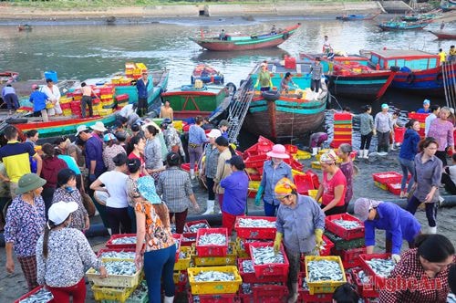 Cảng cá Nghi Hải (TX. Cửa Lò) Ảnh: Trần Hải
