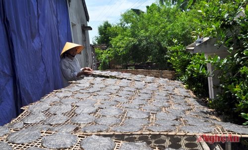 Được vay vốn hộ nghèo để phát triển sản xuất, gia đình chị Bùi Thị Hiền (xã Lưu Sơn, Đô Lương) đã thoát nghèo.