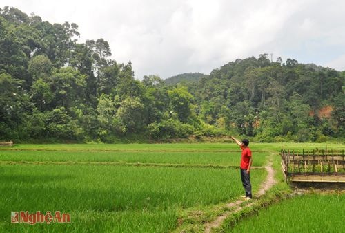 Trưởng bản Lương Văn Thuận giới thiệu rừng cộng đồng của bản Hốc được người dân chung tay bảo vệ