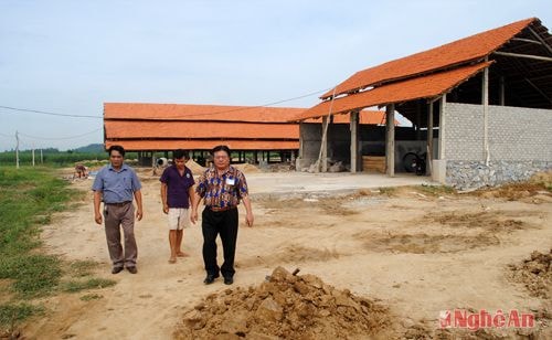 Trang trại nuôi bò sữa quy mô 50 con vật nuôi của anh Nguyễn Thu Ngoạn,  xóm Cồn Chùa, xã Nghĩa Đồng đang được xây dựng.