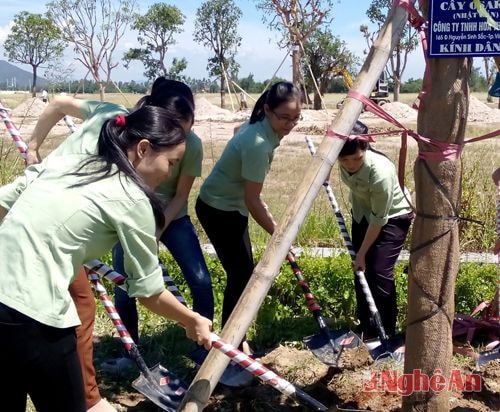 Công nhân công ty Hoa Thường trồng cây lưu niệm 