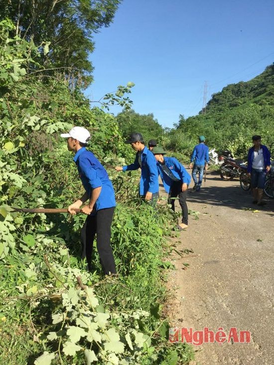  Các đoàn viên thanh niên tích cực phát quang hành lang an toàn giao thông