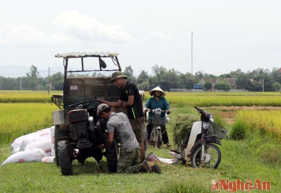 Một biện pháp mạnh là tịch thu, thanh lý và xung công quỹ là rất cần thiết trong thời điểm hiện nay