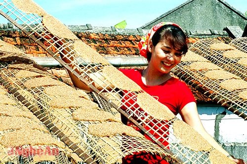 Sản xuất bánh đa vừng ở Diễn châu. Ảnh: Cảnh Yên