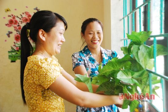 Tuy còn khó khăn nhưng mỗi năm học mới đến, thầy cô ở đây trích tiền lương của mình mua hoa trang trí lớp học thêm thận thiện.