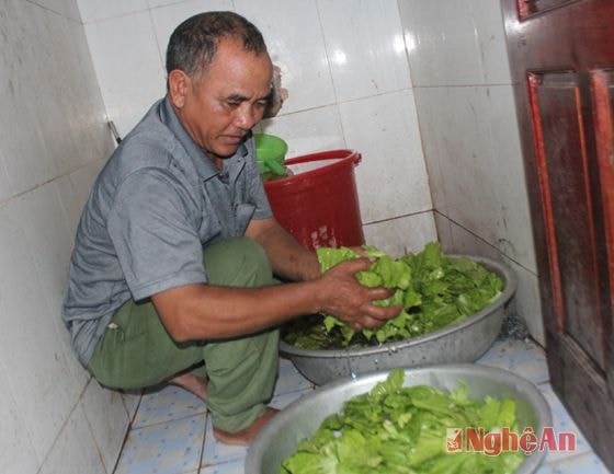 ... Bữa cơm còn có rau cải xào canh. Theo bác cấp dưỡng, các loại thực phẩm do nhà trường đặt mua, các món ăn được thay đổi theo từng ngày.