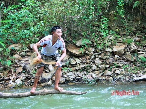 Quăng chài bắt cá