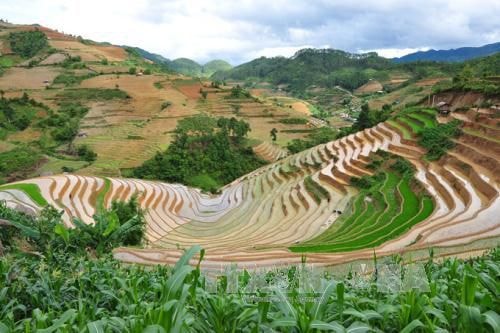 Vẻ đẹp hùng vĩ vùng cao Mù Cang Chải (Yên Bái) với đặc trưng tiêu biểu là Di sản Ruộng bậc thang.