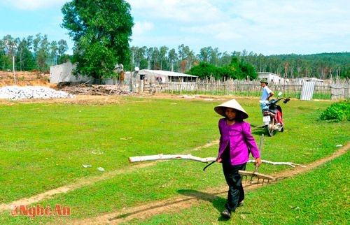 Xóm Tân Minh có nhiều hộ dân xây dựng công trình trái phép trên diện tích  quy hoạch Nhà máy nhiệt điện 1 Quỳnh Lập.