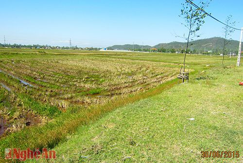 Mặt bằng thực địa trước khi dự án triển khai. (Ảnh do nhà đầu tư cung cấp)