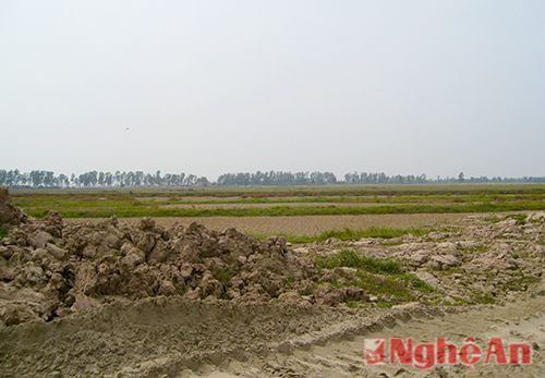 Mặt bằng thực địa trước khi triển khai VSIP tại Bắc Ninh. (Ảnh do nhà đầu tư cung cấp)