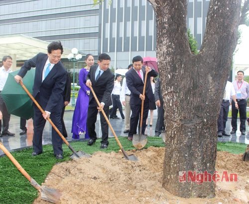 Thủ tướng Nguyễn Tấn Dũng và lãnh đạo tỉnh Nghệ An trồng cây lưu niệm trong khuôn viên trụ sở Uỷ ban tỉnh 