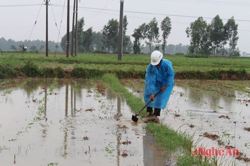 Khơi thông thoát nước  tại xã Nam Lộc, Nam Đàn