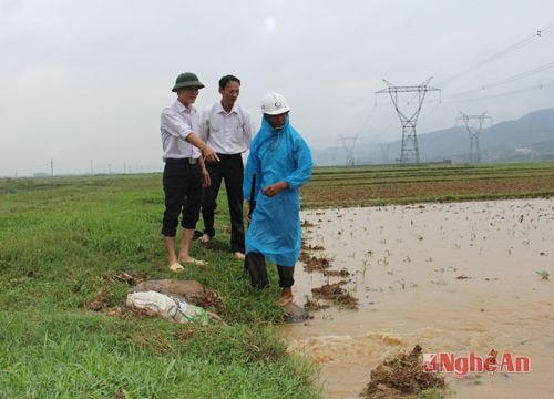 cán bộ phòng Nông nghiệp Nam Đàn kiểm tra tình hình mưa lụt tại Nam Lộc