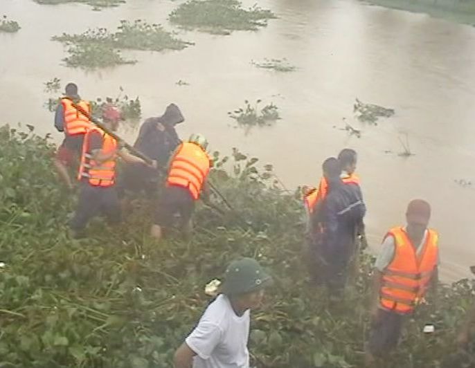 Vớt bèo trên tuyến kênh nhà Lê