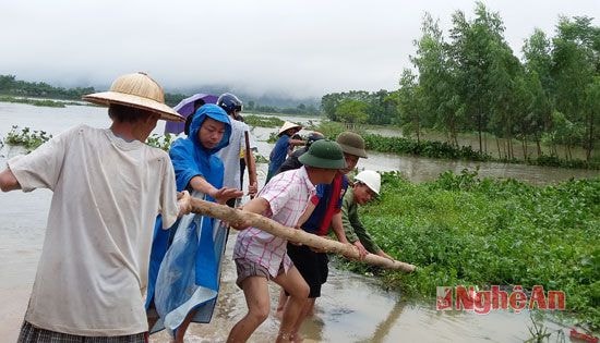 Huy động bà con nhân dân đẩy vớt, đẩy bèo tây khơi thông dòng chảy tại xã Liên Thành.