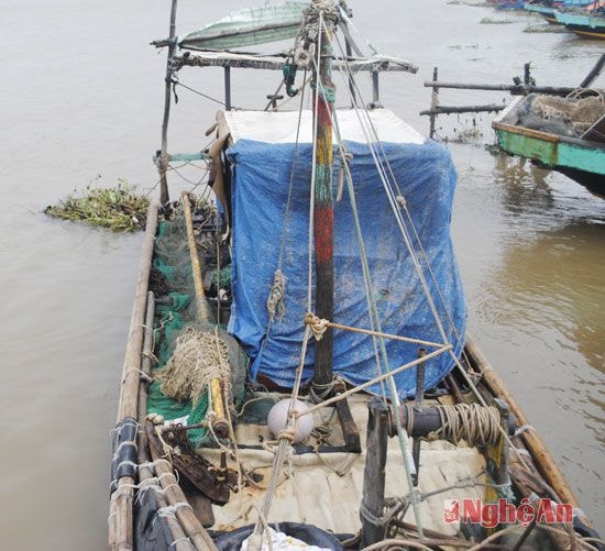 Những chiếc bè mảng sử dụng rọ lồng bát quái vừa đi càn quét thủy sản về tại bến Lạch Vạn.