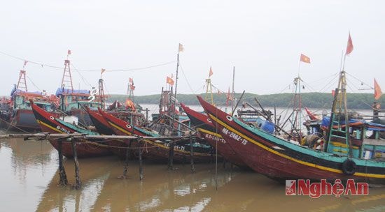 Những tàu, thuyền nhỏ giã cào đánh bắt sai tuyến không đúng vị trí là mối nguy hại đến nguồn thủy sản ven bờ.
