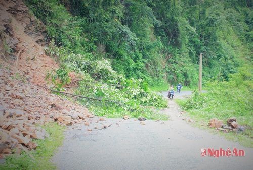 Nhiều tuyến đường bị đất đá, cây cối đổ xuống chăn mất lối đi