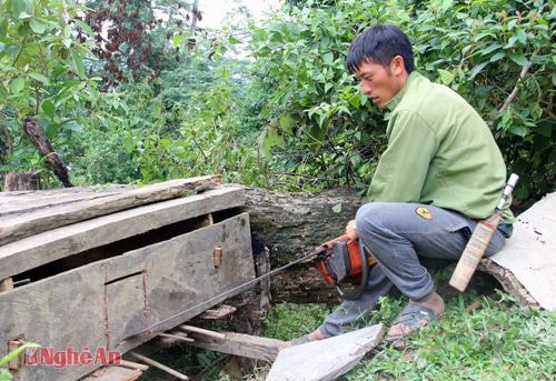 Đóng chuồng nuôi gà.