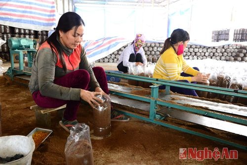 Một số hoạt động thi đua trên các lĩnh vực trong tỉnh. Ảnh: Nguyên Khoa - Thục Anh - Hữu Nghĩa