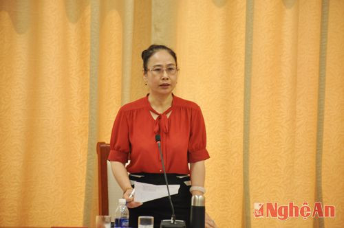  Đồng chí Đinh Thị Lệ Thanh - Ủy viên Ban Thường vụ Tỉnh ủy, Phó Chủ tịch UBND tỉnh kết luận buổi làm việc.