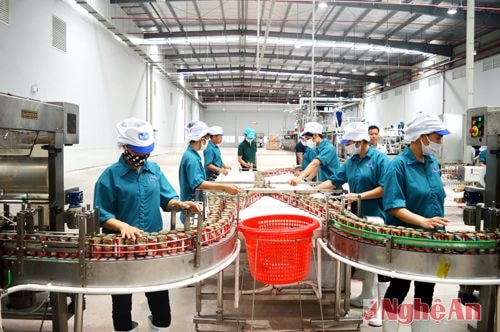 Dây chuyền đóng bao bì sản phẩm tại Nhà máy Royal Foods. Ảnh: Lâm Tùng