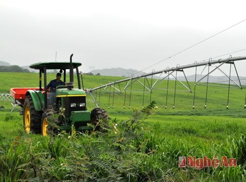 Sử dụng máy cắt cỏ và tưới nước hiện đại ở vùng nguyên liệu TH.   Ảnh: C.L