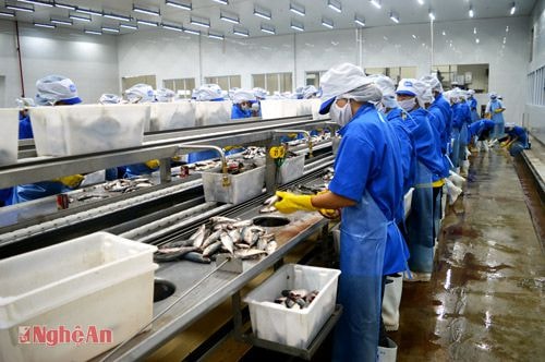 Dây chuyền chế biến hải sản của Nhà máy Royal Foods (KKT Đông  Nam). Ảnh: Lâm Tùng