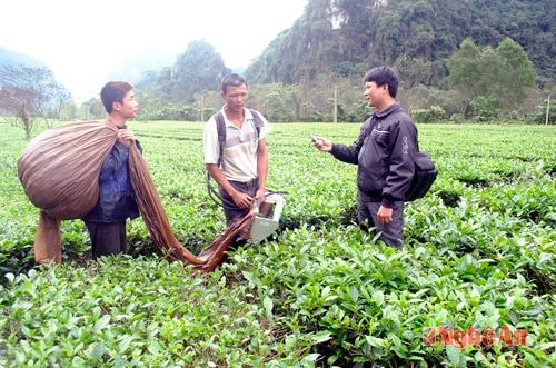 Phóng viên Báo Nghệ An tác nghiệp