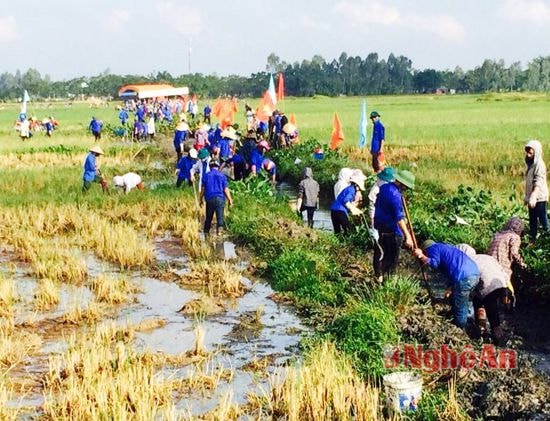 Đông đảo đoàn viên Hưng Nguyên ra quân làm thủy lợi