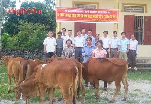  Trao bò giống cho các gia đình khó khăn.