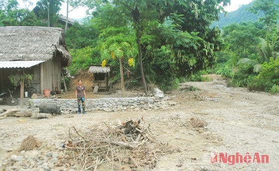 Gia đình anh Vi Văn Kiên, bản Na Bè, xã Xá Lượng xây bờ kè quanh nhà đối phó với lũ ống, lũ quét.