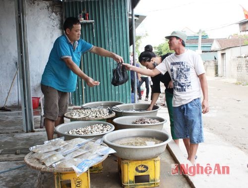 Dịp này, không phải vào chính mùa du lịch thế nhưng khách đến với Quỳnh Phương cũng vẫn đông.