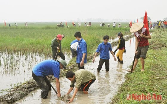Nhân dân Hưng Lam (Hưng Nguyên) ra quân làm thủy lợi.