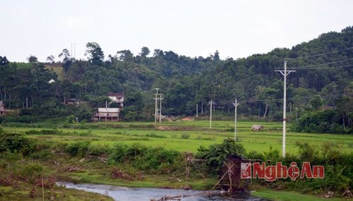 Hệ thống đường dây tại xã Châu Phong đã hoàn thành chờ ngày đóng điện