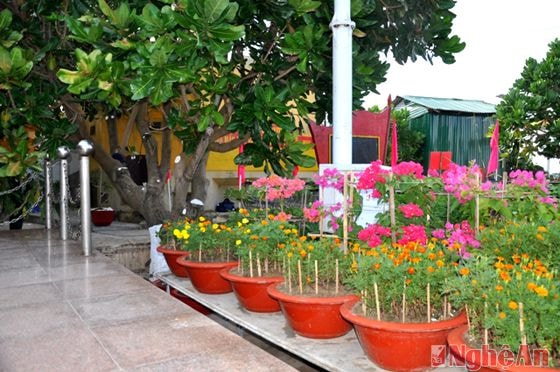 l Một góc “Vườn hoa Đại tướng” ở đảo Sơn Ca.