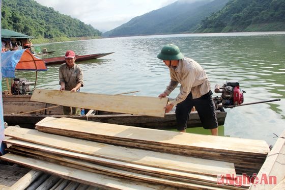 Chuyển gỗ về sửa nhà.